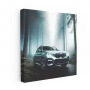 BMW X3 in Fog - Elegance Meets Power on Road