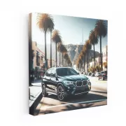 Black BMW X3 in Los Angeles - Sleek and Stylish Ride