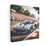 Citroen Race Ring - Speed and Style Unleashed