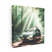 Honda Odyssey in Nature - Spacious Family Adventure