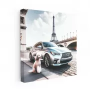 Infiniti Q50 in Paris - Luxury and Performance Redefined