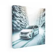 Kia Carnival in Snowfall - Spacious and Versatile Adventure