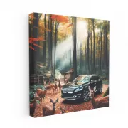 Lincoln MKC Adventure in National Park - Elegant Explorer