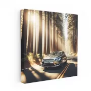 Lincoln MKZ Road - Experience Luxury and Performance