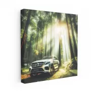 Mercedes-Benz GLS in Nature - Luxury Meets Adventure