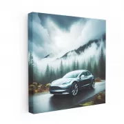 Tesla Model 3 in Cloudy Forest - Sleek and Sustainable Ride