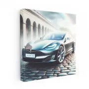 Tesla Model in Overcast Skies - Innovation in Motion