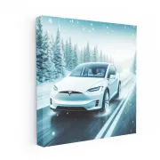 Tesla Model X Winter Adventure - Power Meets Elegance
