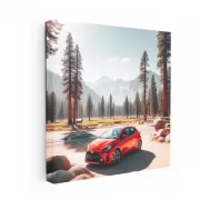 Toyota GR Yaris Adventure in National Park - Agile Thrill