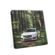 Acura TLX Type S in White - Elegance Meets Adventure