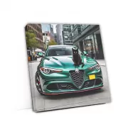 Green Alfa Romeo Giulia Quadrifoglio with Cat - Pure Passion