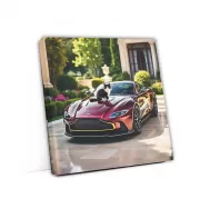 Burgundy Aston Martin Vantage with Cat - Elegance on Wheels