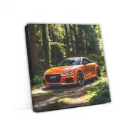 Orange Audi TT RS in Forest - Bold and Dynamic Ride
