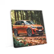 Vibrant Orange BMW X5 in Forest: Adventure Awaits
