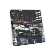 Black Chevrolet Camaro 1LE in Houston, TX - Bold and Powerful