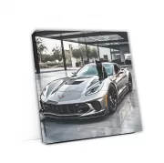 Gray Chevrolet Corvette Stingray with Cat - Sleek and Fast