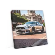 Silver Ford Mustang GT in Fort Worth - Bold and Powerful