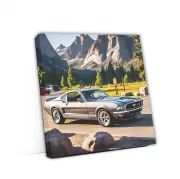 Grey Ford Mustang Mach 1 in National Park - Power and Precision