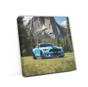 Shelby GT500 in Blue at National Park - Power and Elegance