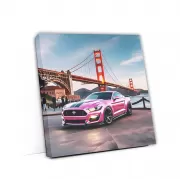 Pink Ford Mustang Shelby GT500 in San Francisco, CA - Bold Power