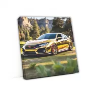 Golden Honda Civic Type R Shines in National Park - Sporty Elegance