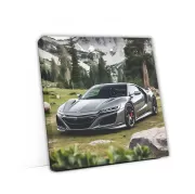 Gray Honda NSX in National Park - Sleek and Powerful Ride