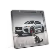 Jaguar F-Pace SVR in Gray with Cat - Power Meets Grace