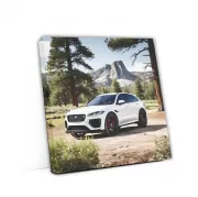 White Jaguar F-Pace SVR in National Park - Power and Elegance