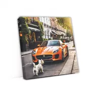 Orange Jaguar F-Type with Dog - Epitome of Speed and Style