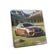 Jaguar XE SV Project 8 in Brown at National Park - Fierce Power