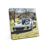 Silver Lotus Elise with Cat - Sleek and Playful Design