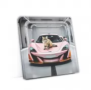 Pink McLaren 600LT with Cat - Fast, Stylish, Unique