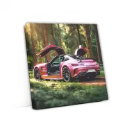 Pink Mercedes AMG GT in Forest - Bold Elegance in Motion