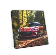 Burgundy Subaru BRZ & Toyota 86 in Forest - Sporty Elegance