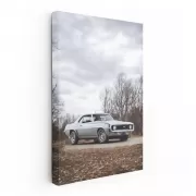 1969 Chevy Camaro SS in Nature - Classic American Muscle