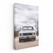 1969 Camaro SS in Nature - Classic Muscle Beauty