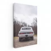 1969 Chevy Camaro SS - Iconic Muscle in Wild Surroundings