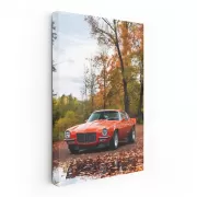 1971 Chevrolet Camaro in Autumn Woods - Classic Powerhouse