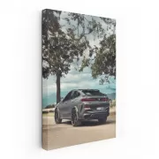 Sleek Grey BMW X6 - Dynamic Power and Elegance