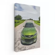 Chevrolet Chevy SS in Nature - Sleek and Powerful Drive