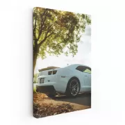 Chevrolet Camaro Among Trees - Muscle Car Power