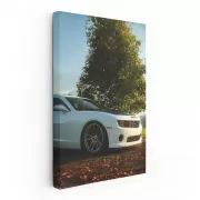 Chevrolet Camaro Amidst Forest - Power and Elegance