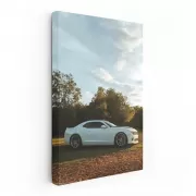 Chevrolet Camaro Adventuring in Woods - Bold and Powerful