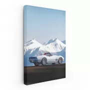 Chevrolet Corvette in Snowy Mountains - Power Meets Elegance