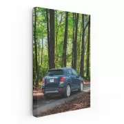 Forest Drive with Chevrolet - Rugged Adventure Awaits