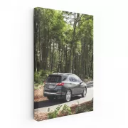 Chevrolet in Woods - Adventure Awaits Offroad