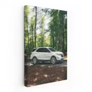 Chevrolet Adventure in Forest - Rugged and Reliable