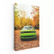 Golden Dodge Challenger in Autumn - Power and Elegance