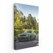 Green Dodge Challenger Parked - Bold American Muscle