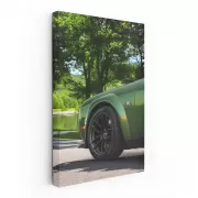 Green Dodge Challenger in Park - Bold Power on Wheels